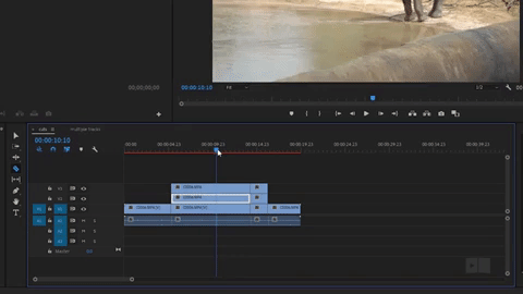Como fazer GIF no Adobe Pemiere
